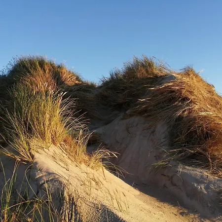 Wheelchair Accesible With Pool